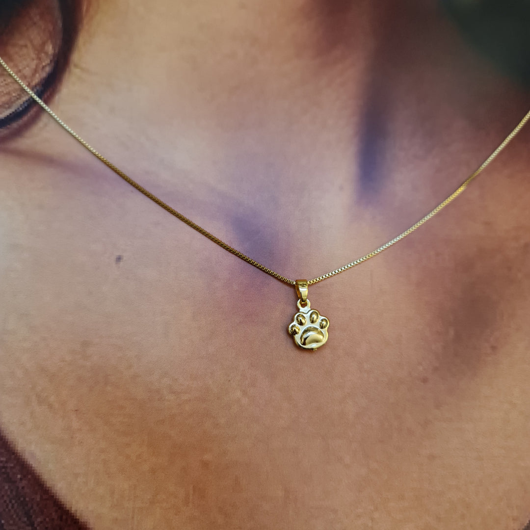 Collar Mascota Patita Oro