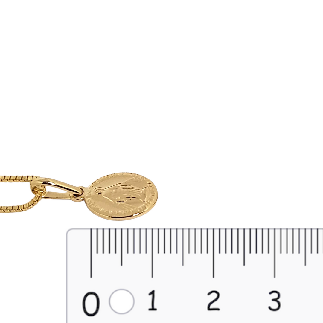 Collar Virgen De Los Rayos S Oro