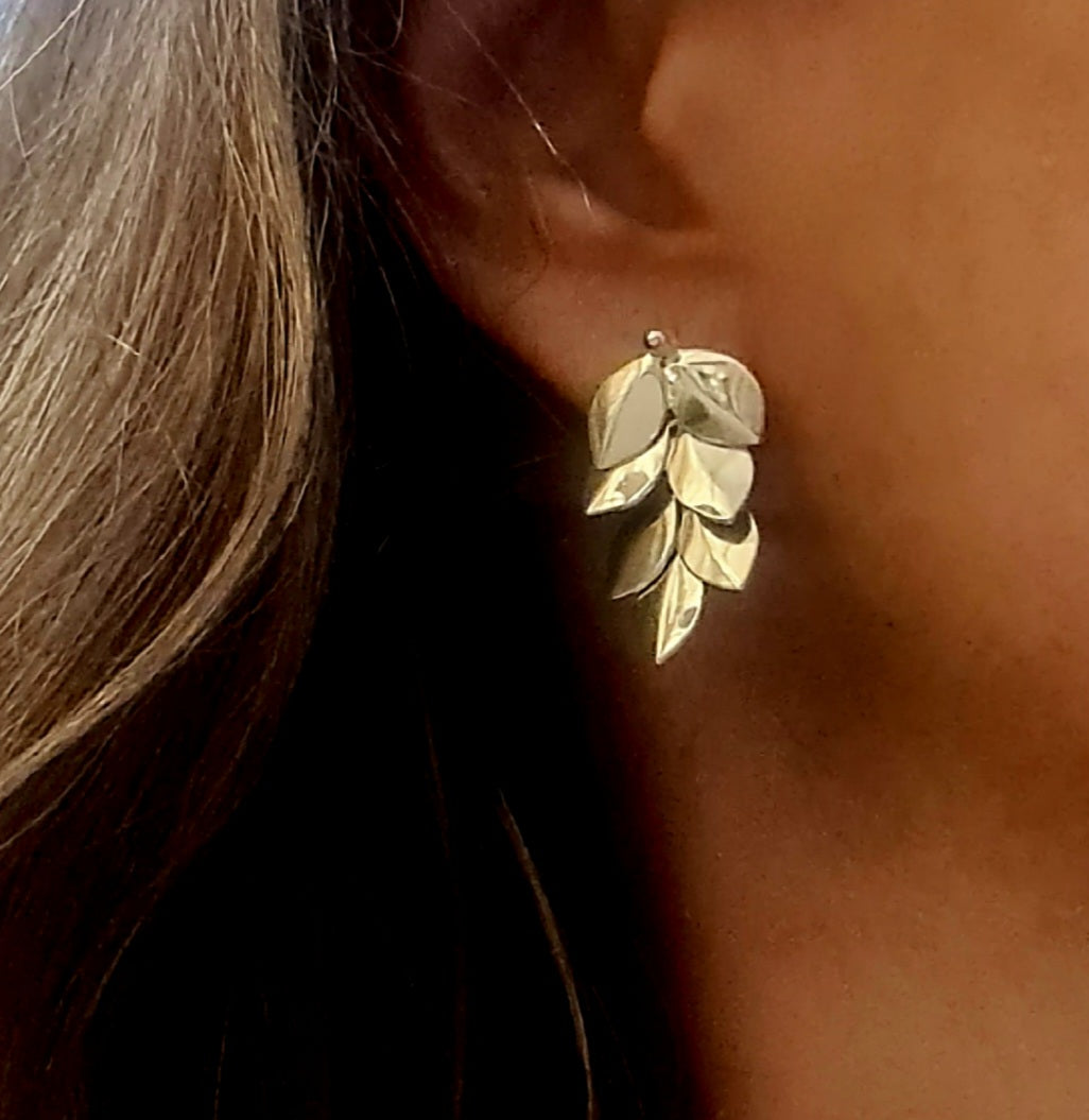 Aros Javiera Plata