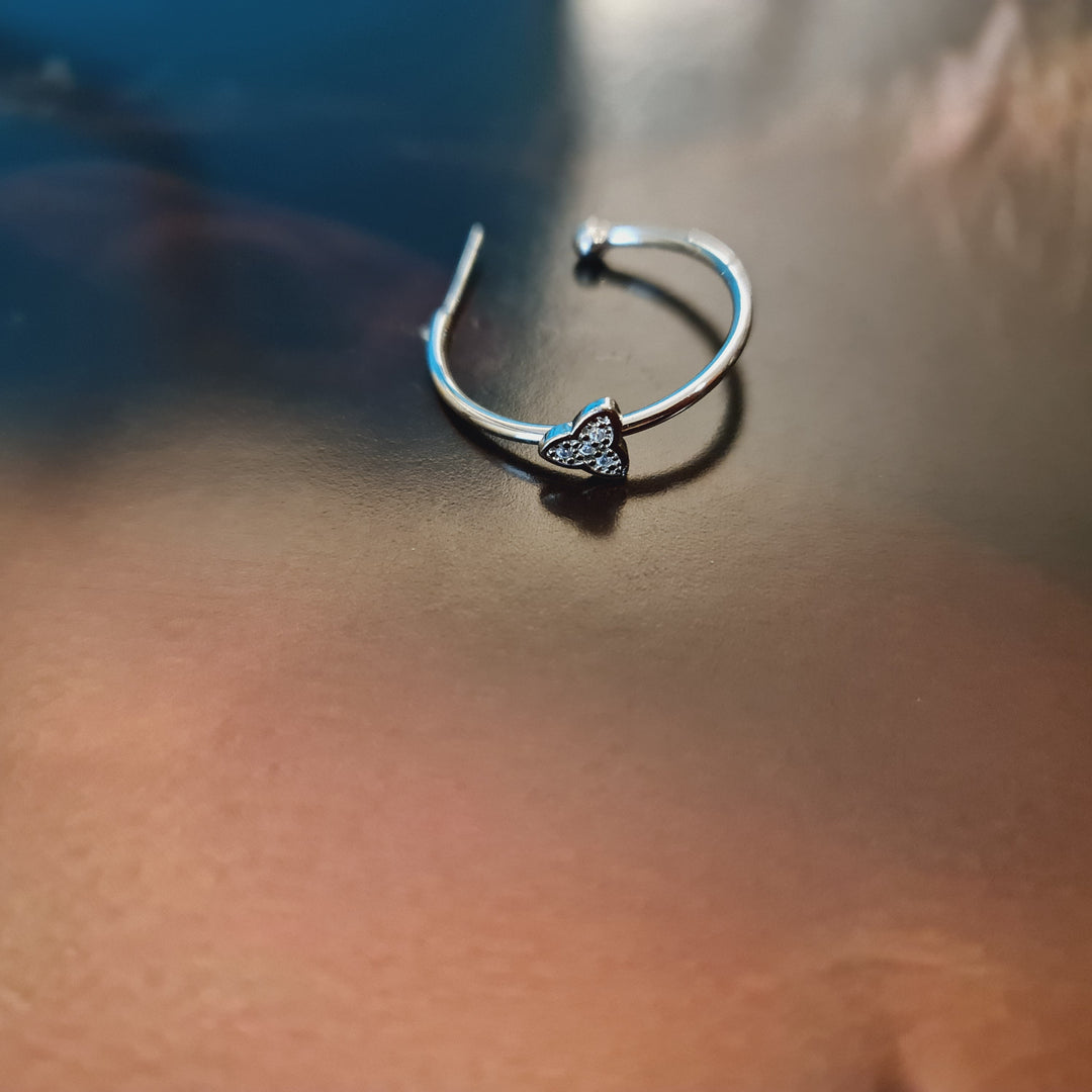 Argollas Fernanda Platino